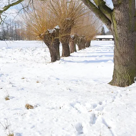 Апартаменты Kastanienhof Im Spreewald
