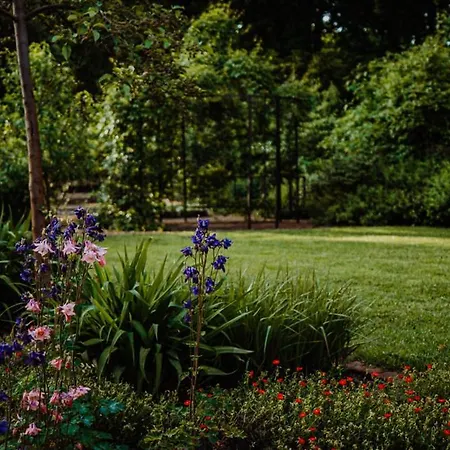 Lejlighed Kastanienhof Im Spreewald *