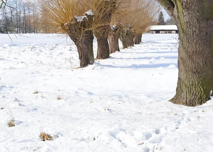 Apartament Kastanienhof Im Spreewald
