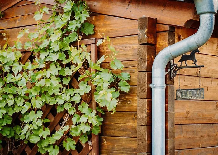 Kastanienhof Im Spreewald